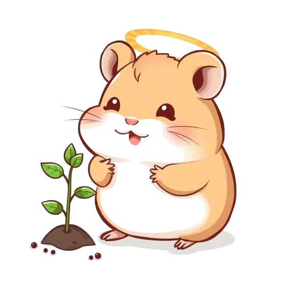 About Peaceplease.Xyz